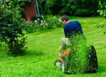 Kwikfynd Lawn Mowing
coolumbeach